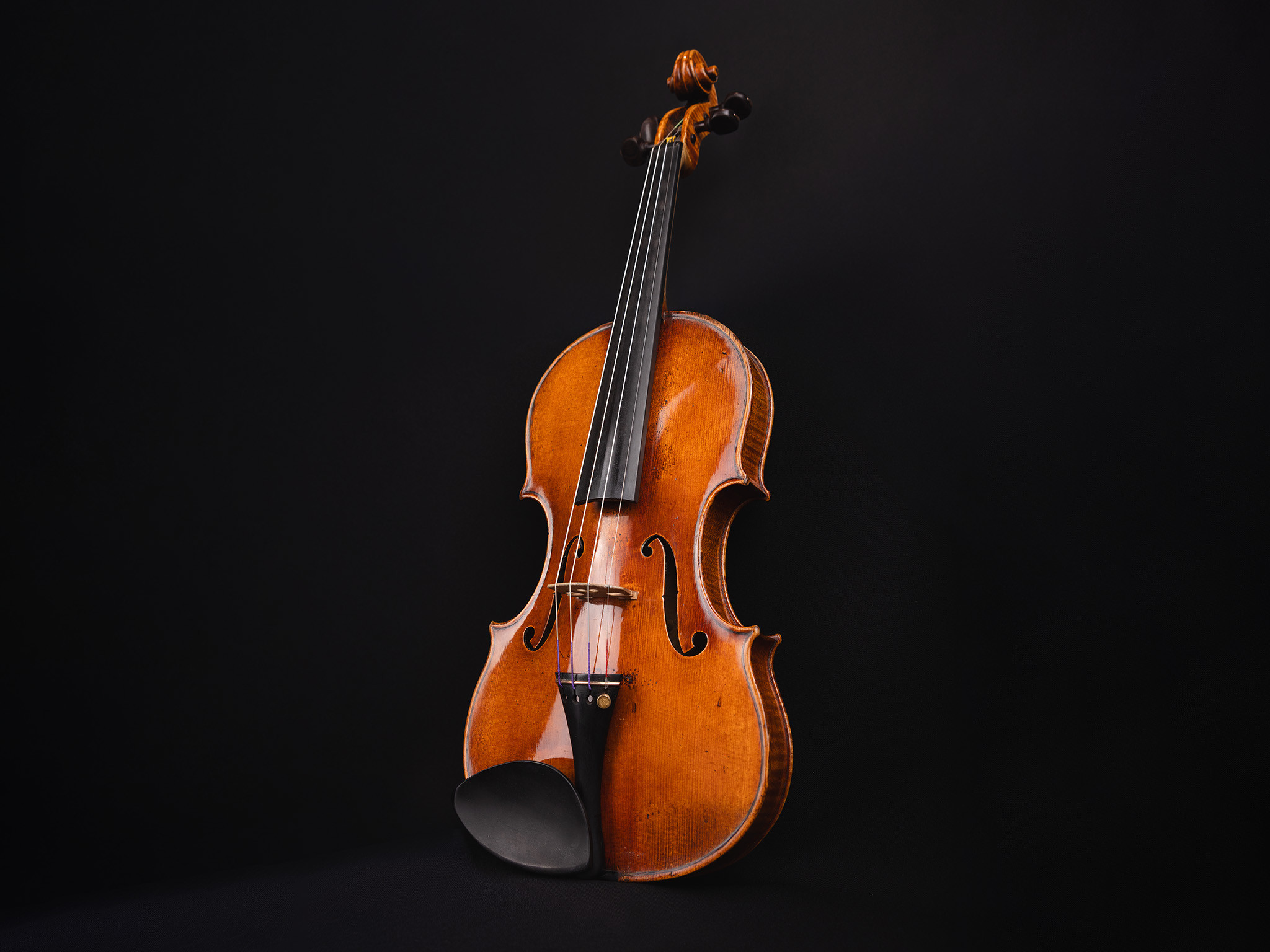 Violina Banke Slovenije kupljena 2025 na črnem ozadju