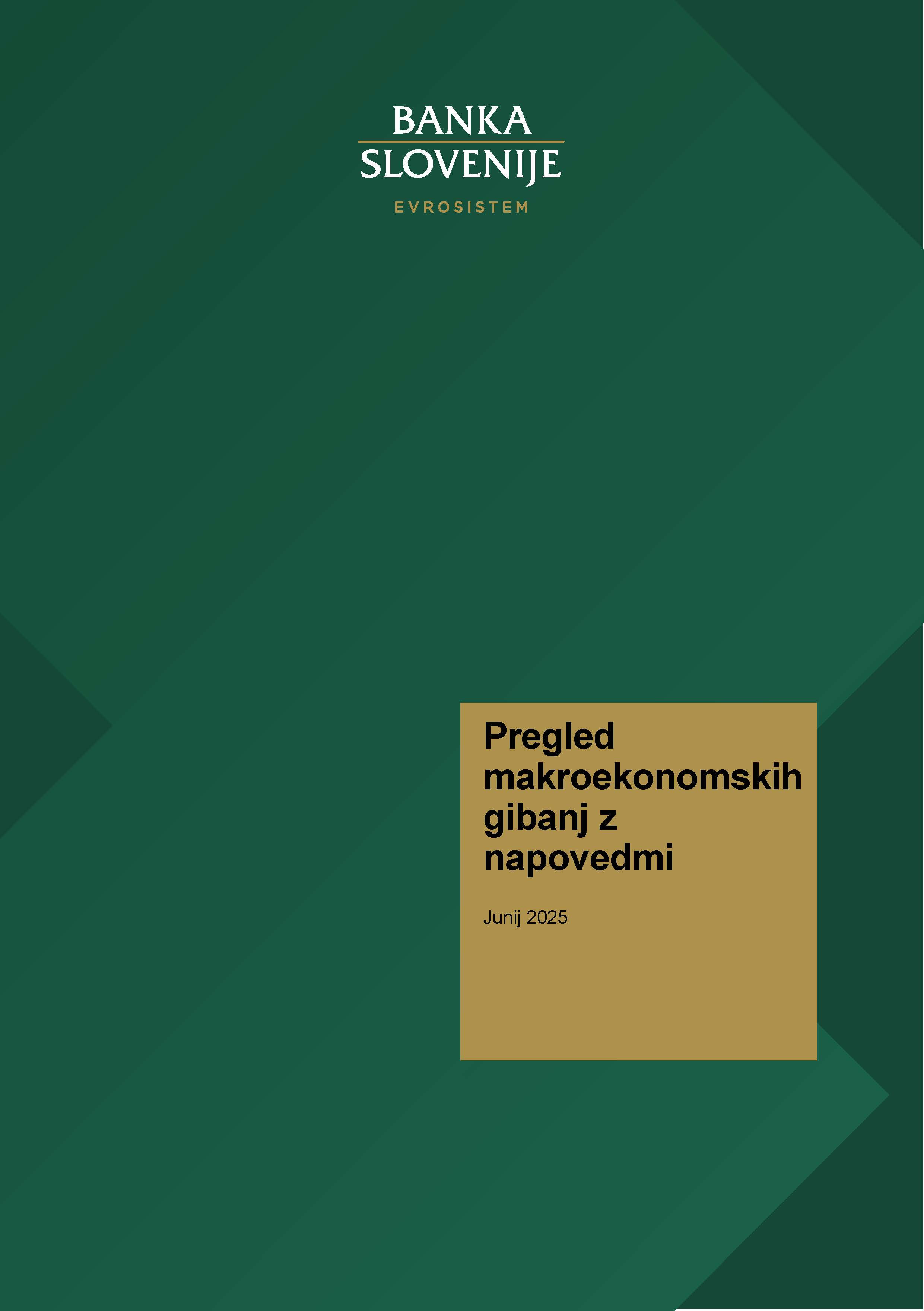 Naslovnica publikacije