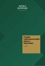 Naslovnica publikacije