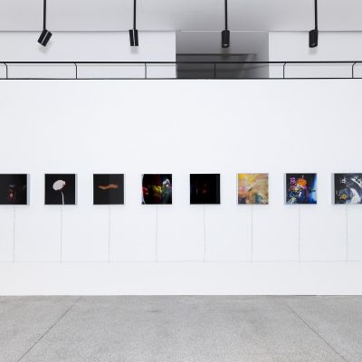 Naslovna slika razstave