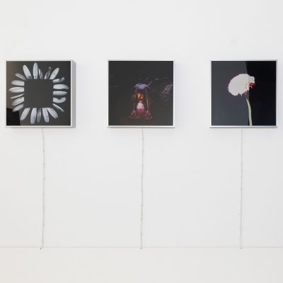 Naslovna slika razstave