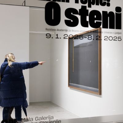 author of the exhibition