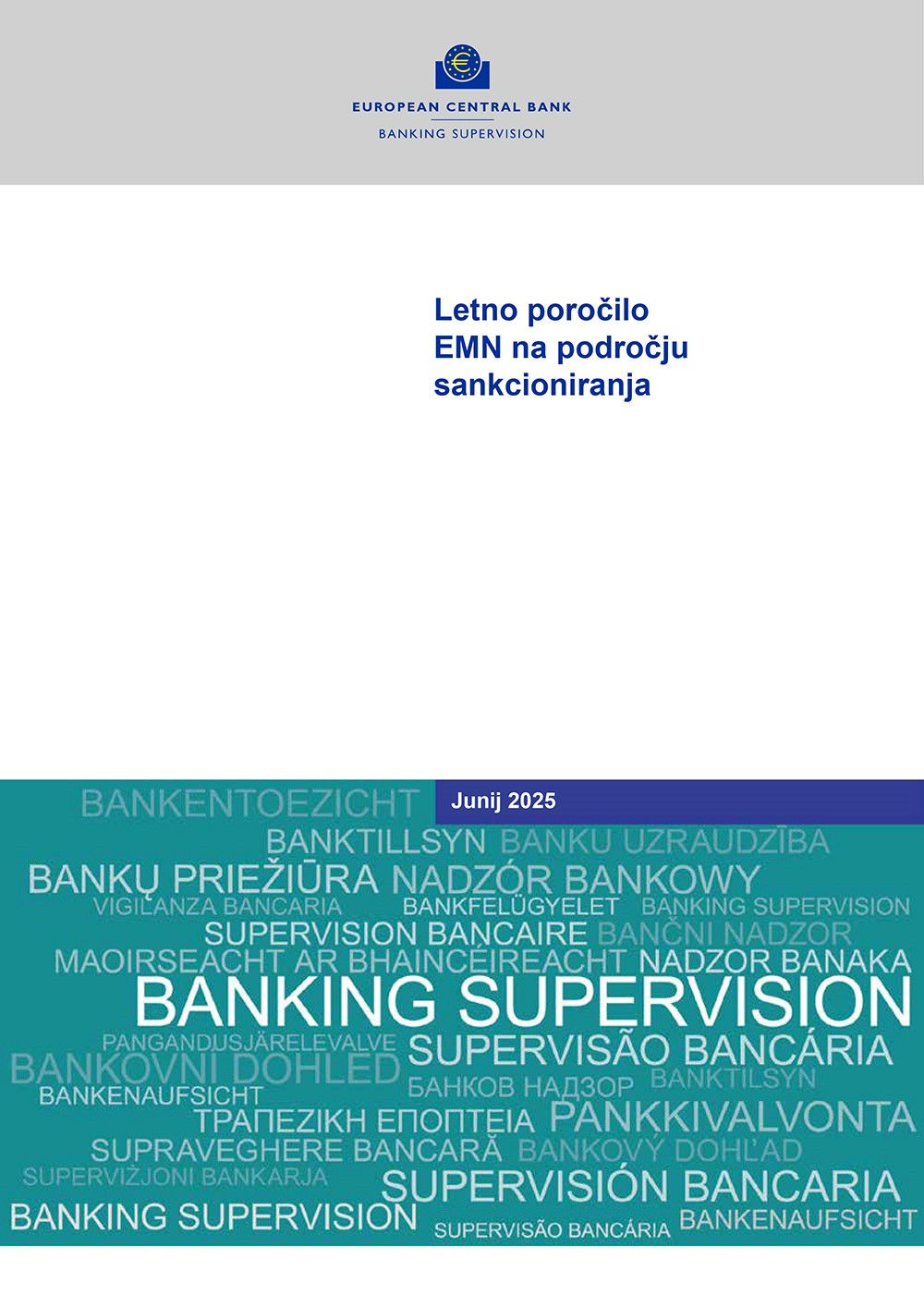 Naslovnica publikacije