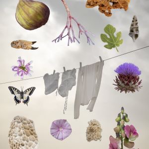 Comfort Zone: Displays of Affection