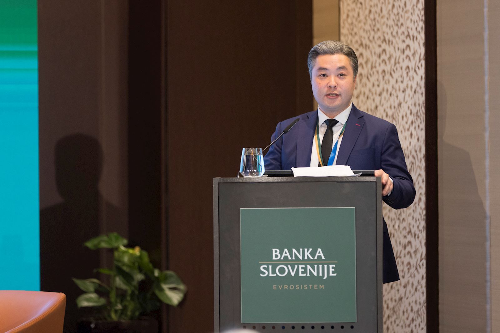 presentation at Banka Slovenije and International Monetary Fund conference