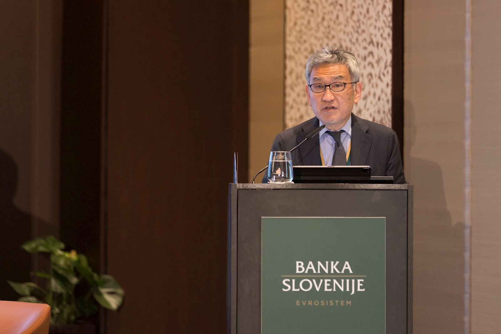 presentation at Banka Slovenije and International Monetary Fund conference