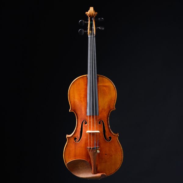 Violina