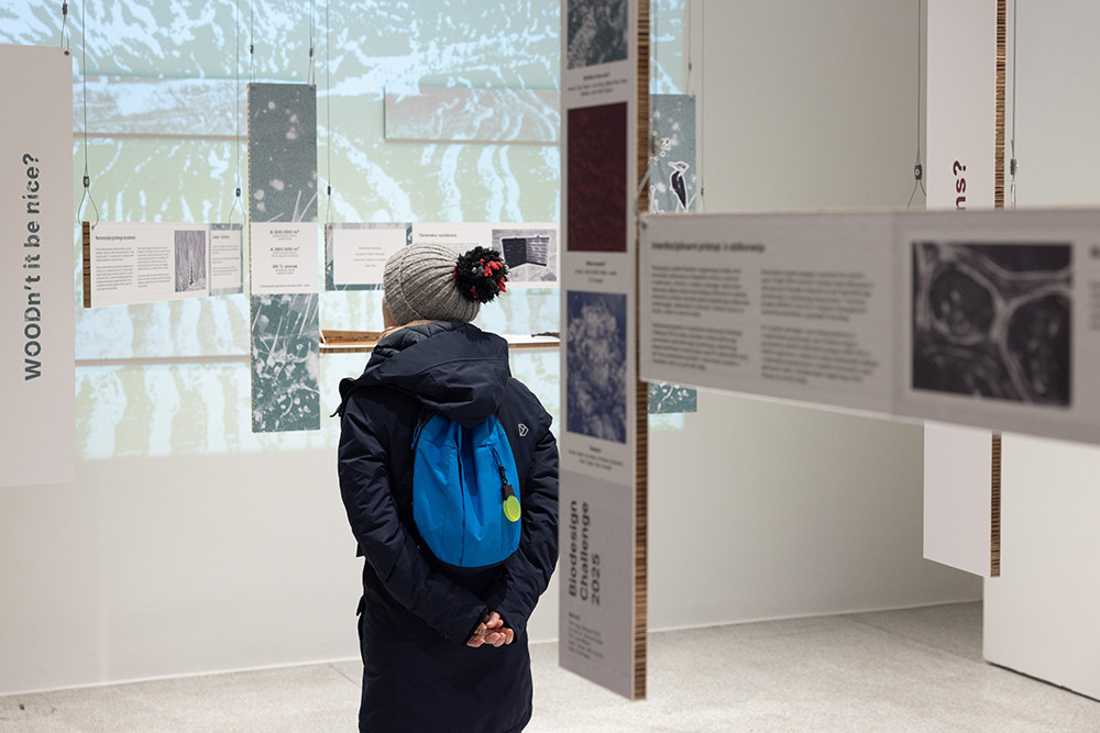 Razstavljeni eksponati v galeriji