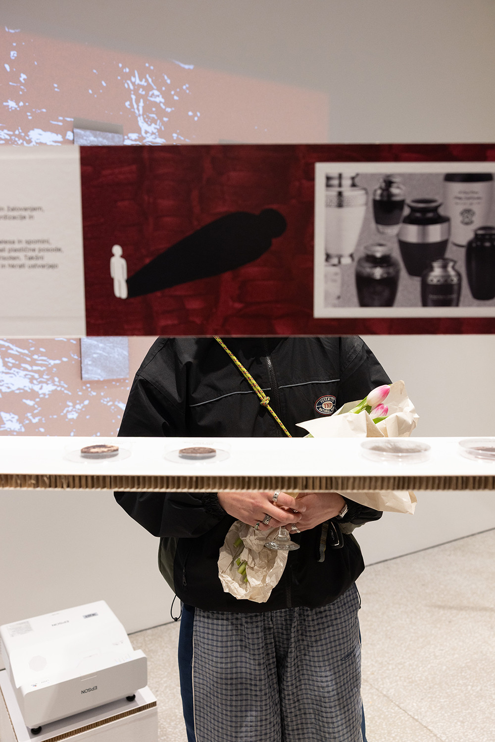 Razstavljeni eksponati v galeriji